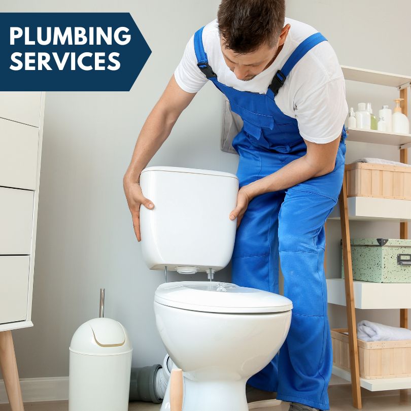 Plumbing Company in Villa Ridge, MO